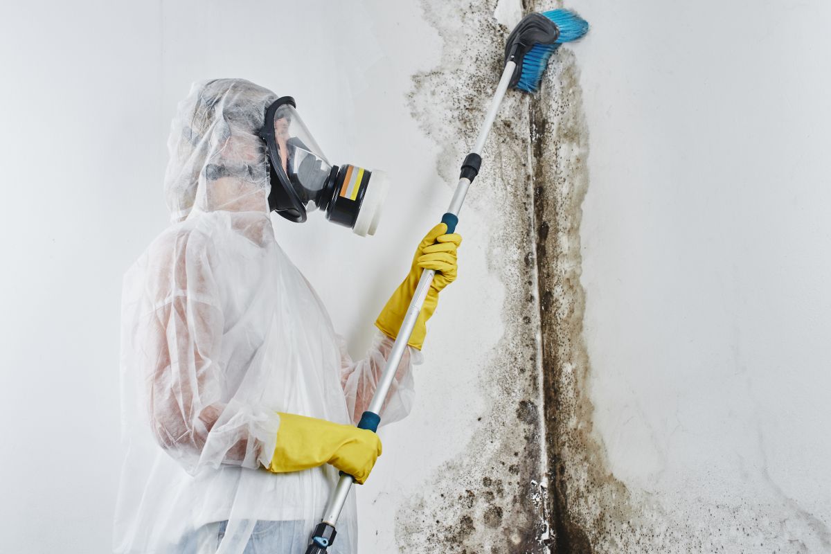 Mold Testing
