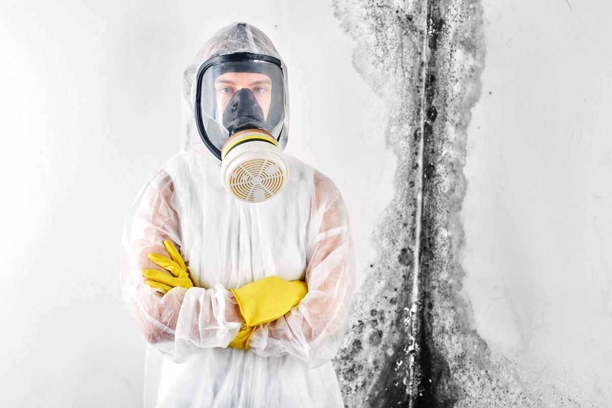 Mold Remediation