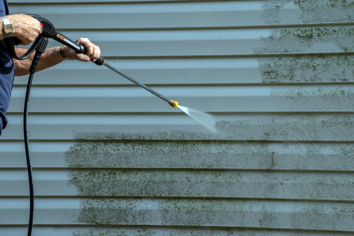 Mold Remediation