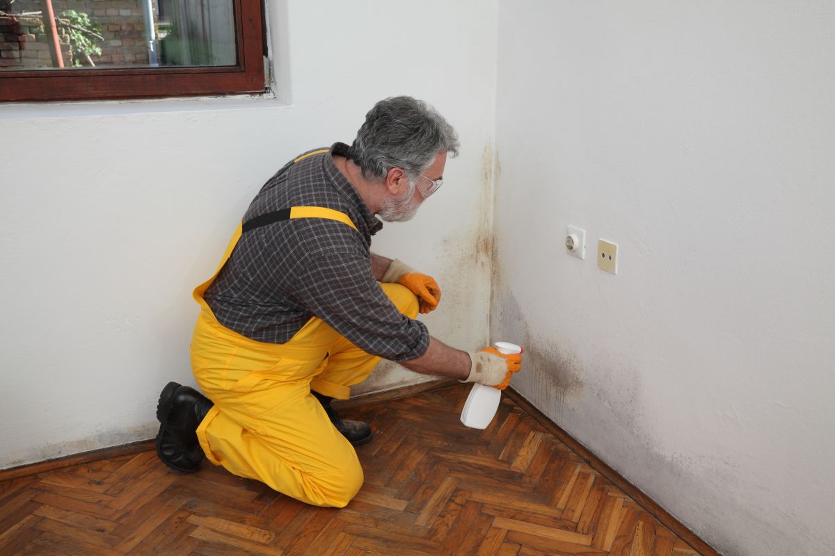 Mold Testing